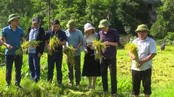 Thanh Hóa tăng cường hợp tác trong lĩnh vực nông nghiệp với tỉnh Hủa Phăn