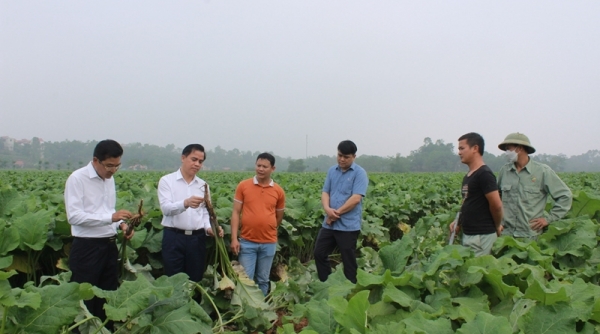 Huyện Tam Nông - Phú Thọ: Hạnh phúc của Nhân dân là đích đến khi xây dựng nông thôn mới