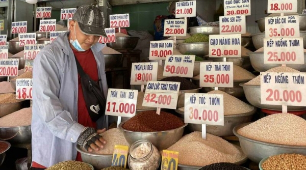 Giá lúa gạo hôm nay 6/3: Giá lúa tăng 100 - 200 đồng/kg
