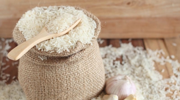 Giá lúa gạo hôm nay 11/03: Đi ngang, thị trường giao dịch sôi động