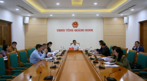 Phó chủ tịch Quảng Ninh chỉ đạo àm rõ trách nhiệm người đứng đầu trong mua sắm tập trung