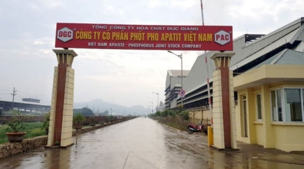 Apatit Việt Nam (PAT) biến động lãnh đạo trước thềm Đại hội đồng cổ đông thường niên năm 2024