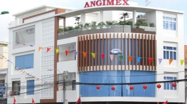 Sau HPX, cổ phiếu Angimex (AGM) sẽ trở lại vào ngày 21/3