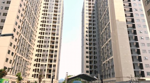 Đà Nẵng: Năm 2024 hoàn thành xây mới 2.750 căn hộ chung cư nhà ở xã hội