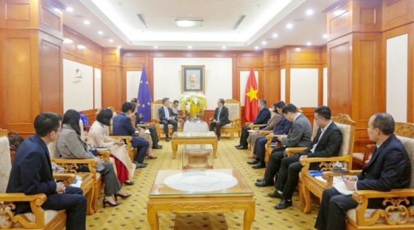 Việt Nam - EU: Tăng cường hợp tác về khoa học, công nghệ và đổi mới sáng tạo