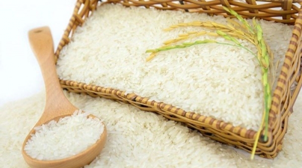 Giá lúa gạo hôm nay 25/3: Giá gạo bật tăng 50 - 300 đồng/kg