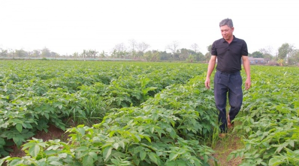 Anh nông dân quê Nam Định làm giàu từ “cánh đồng mẫu lớn”, được Thủ tướng tặng Bằng khen