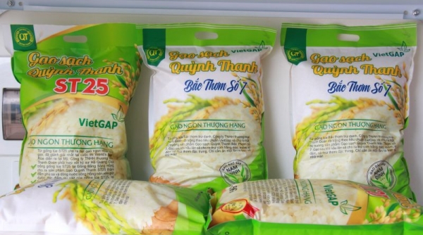Sản xuất theo quy trình VietGAP, gạo sạch Quỳnh Thanh được khách hàng săn đón