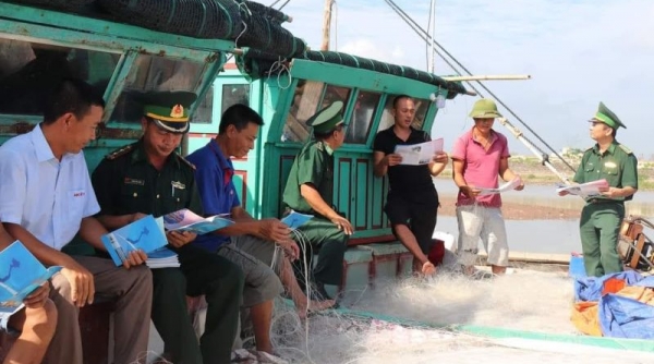 Nam Định: Xử phạt nhiều tàu cá vi phạm pháp luật