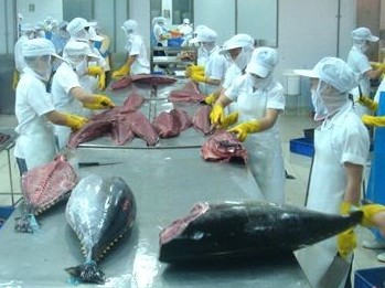 Tin vui: Sản phẩm cá ngừ được xuất khẩu sang 80 thị trường, có nhiều thị trường "khó tính"