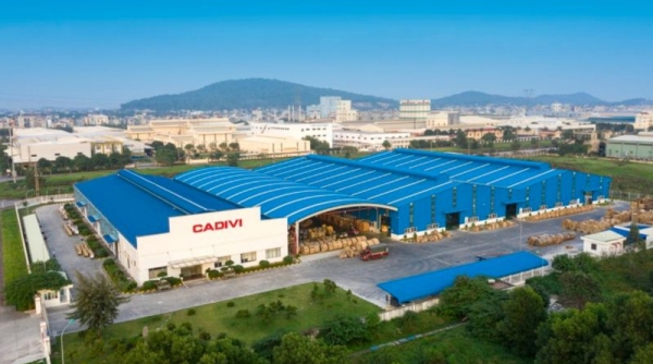 Cadivi (CAV) muốn hủy niêm yết cổ phiếu trên HOSE