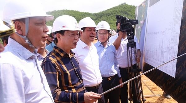 Hà Tĩnh chuyển đổi gần 22 ha rừng làm Dự án Đường dây 500kV Quảng Trạch-Quỳnh Lưu