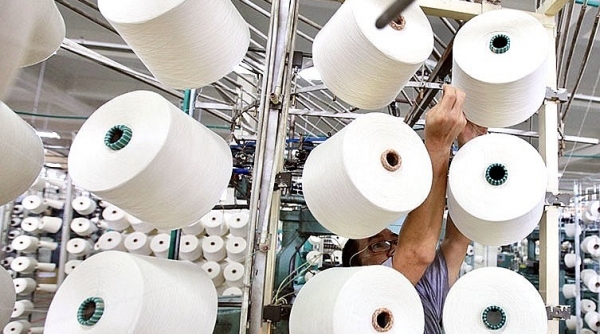 Brazil khởi xướng điều tra chống bán phá giá với sản phẩm xơ sợi staple nhân tạo từ Việt Nam