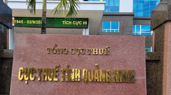 Giám đốc doanh nghiệp ở Móng Cái bị tạm hoãn xuất cảnh từ ngày 3/5 do nợ thuế