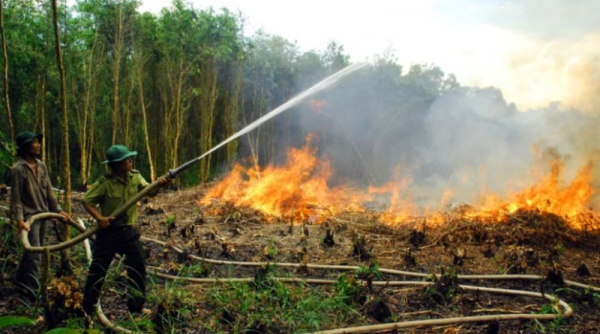 Hậu Giang nâng cảnh báo nguy cơ cháy rừng lên cấp cực kỳ nguy hiểm