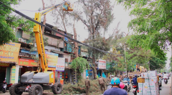 Hà Nội triển khai cắt tỉa cây xanh đảm bảo an toàn trước mùa mưa bão