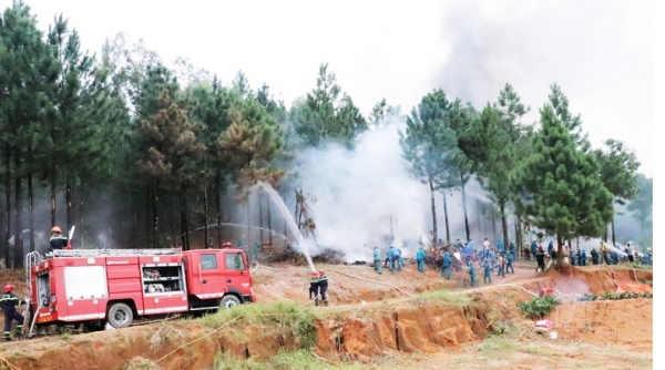 Bắc Ninh tăng cường công tác phòng cháy, chữa cháy rừng