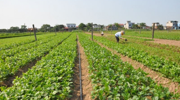 Về xã nông thôn mới kiểu mẫu ở Nam Định: Yên Cường lấy nông nghiệp làm nền tảng phát triển kinh tế địa phương (bài 4)