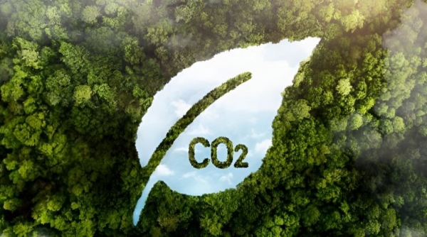 Đề án phát triển thị trường carbon Việt Nam theo hướng nào?
