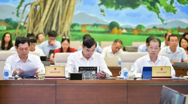 Đề xuất thí điểm thành lập khu thương mại tự do và 21 chính sách đặc thù phát triển thành phố Đà Nẵng