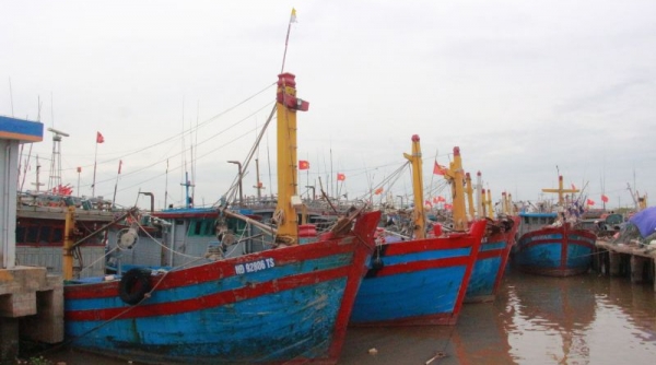 Nam Định chống khai thác IUU: Kiên quyết không cho tàu cá vi phạm ra khơi (bài 1)
