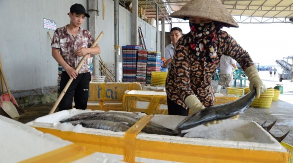 Nam Định chống khai thác IUU: Xử phạt chủ tàu cố tình vi phạm luật thủy sản (bài 5)