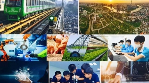 Phấn đấu dự toán thu nội địa năm 2025 tăng tối thiểu khoảng 5-7%