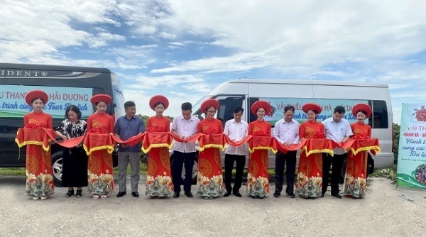 Vải thiều Thanh Hà, Hải Dương - Hành trình cùng các tour du lịch