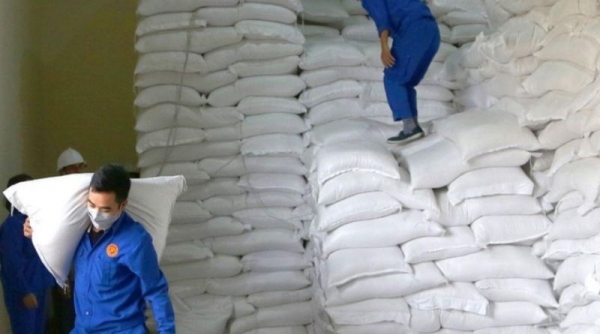 VFA được yêu cầu xác minh thông tin việc doanh nghiệp xuất khẩu gạo 'bỏ thầu giá thấp' và báo cáo về Bộ Công thương