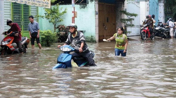 TP. Hồ Chí Minh: Bảo đảm an toàn trong mùa mưa bão 2024