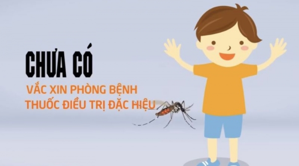 Từ đầu năm 2024 đến nay, Hải Phòng ghi nhận 619 trường hợp mắc Sốt xuất huyết Dengue