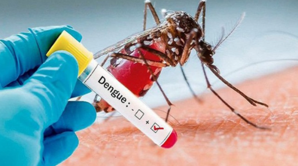 Ghi nhận trên 400 trường hợp mắc sốt xuất huyết Dengue tại Đắk Lắk