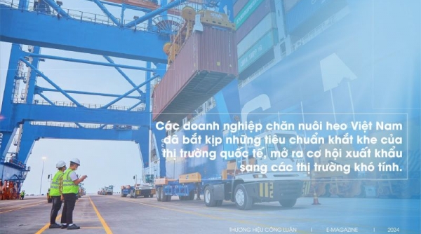 Bức tranh sáng màu cho ngành chăn nuôi heo ở Việt Nam