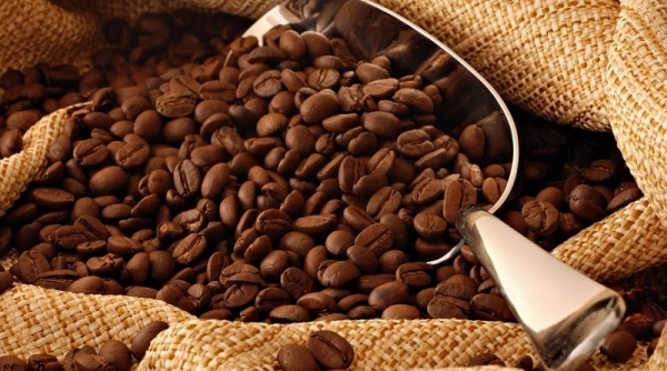 Giá cà phê hôm nay 1/7: Trong nước giảm nhẹ 600 đồng/kg