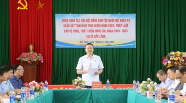 Lạng Sơn: Hội đồng Dân tộc Quốc hội khảo sát tình hình thực hiện chính sách, pháp luật về rừng tại huyện Đình Lập
