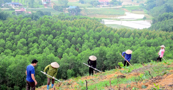 Hoà Bình: Nhiều dự án sử dụng vốn ngân sách đã thi công nhưng chưa hoàn thiện thủ tục chuyển mục đích sử dụng rừng