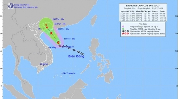 Hải Phòng: Yêu cầu khẩn trương chủ động ứng phó với bão số 2 năm 2024