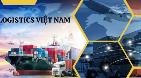 Triển lãm Quốc tế Logistics Việt Nam 2024 có hơn 300 công ty đại diện cho 20 quốc gia và vùng lãnh thổ tham gia