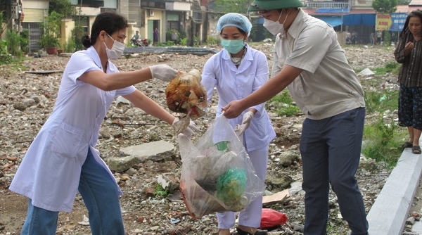 Hải Phòng: Ghi nhận 140 ổ dịch sốt xuất huyết mới