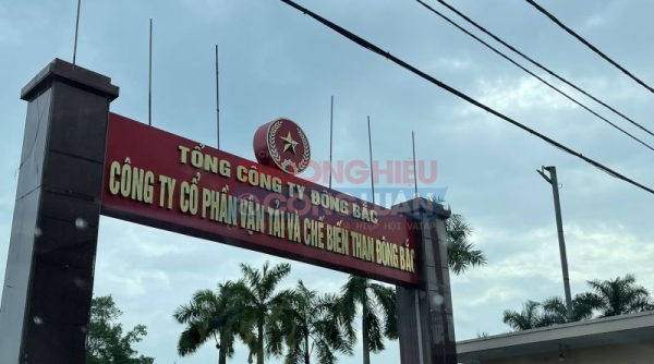 Thương hiệu “Vận tải và Chế biến than Đông Bắc” với những hoạt động kinh doanh