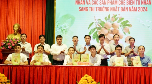 Hội nghị kết nối xuất khẩu nhãn và các sản phẩm chế biến từ nhãn sang thị trường Nhật Bản