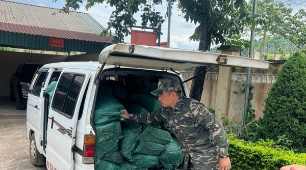 Lạng Sơn tiêu hủy 1,5 tấn chân gà không rõ nguồn gốc