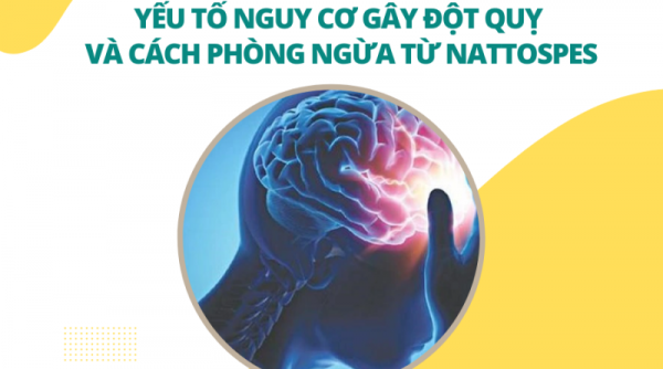 Yếu tố nguy cơ gây đột quỵ và cách phòng ngừa từ Nattospes