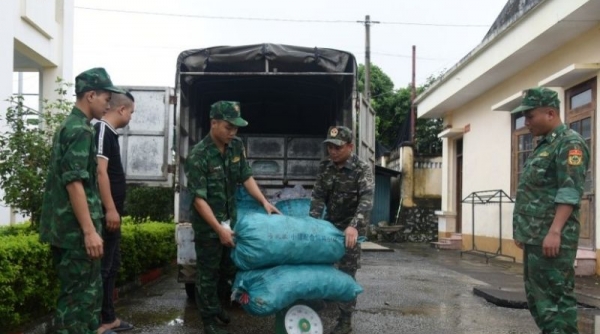 Phát hiện, xử lý một vụ vận chuyển 250 kg chân lợn đông lạnh không rõ nguồn gốc