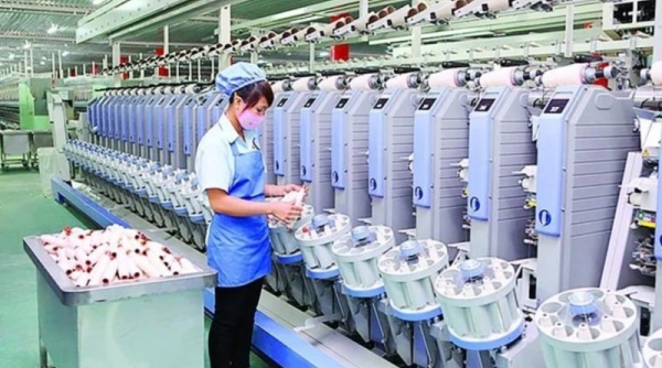 Dệt may Thành Công (TCM) báo lãi sau thuế 1,17 triệu USD, tăng 48% trong tháng 7/2024