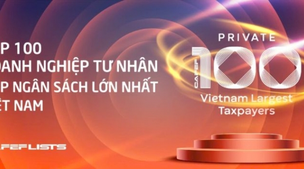 Tập đoàn Bamboo Capital vào top 100 doanh nghiệp tư nhân nộp ngân sách lớn nhất Việt Nam