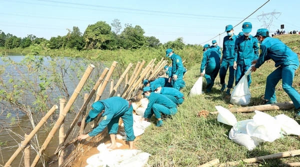 Đồng Tháp đảm bảo an toàn hệ thống đê điều, ứng phó với mưa lũ