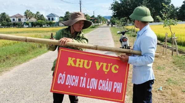 Xuất hiện thêm ổ dịch tả lợn Châu Phi ở Hà Tĩnh