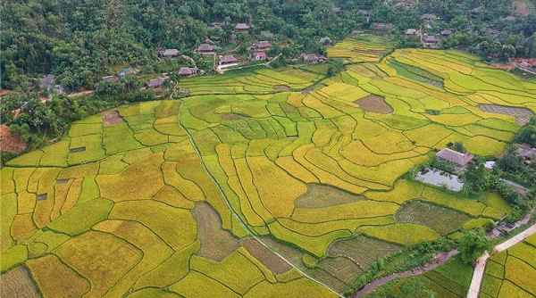 Lào Cai: Phát huy tiềm năng du lịch cộng đồng xã Nghĩa Đô