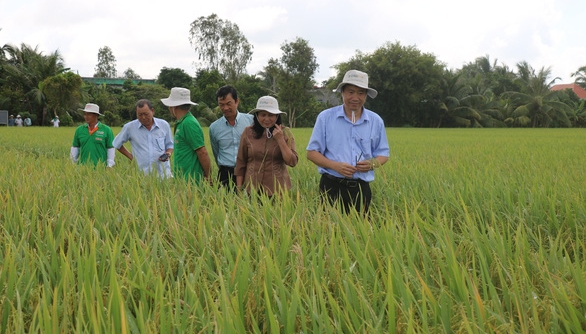 Bộ trưởng Lê Minh Hoan nói về gợi ý thương hiệu lúa gạo mùa nước nổi Việt Nam